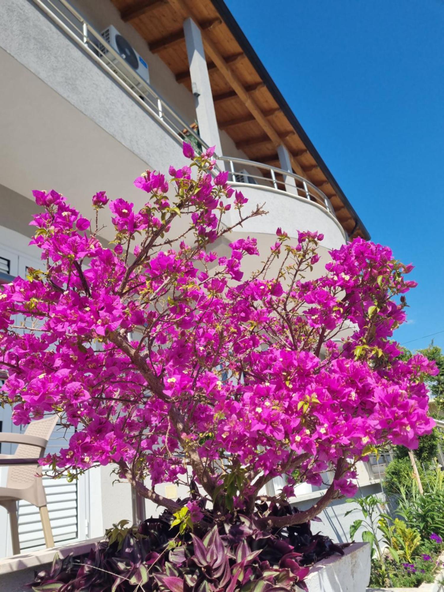 Vila Soleil Vlorë Eksteriør bilde
